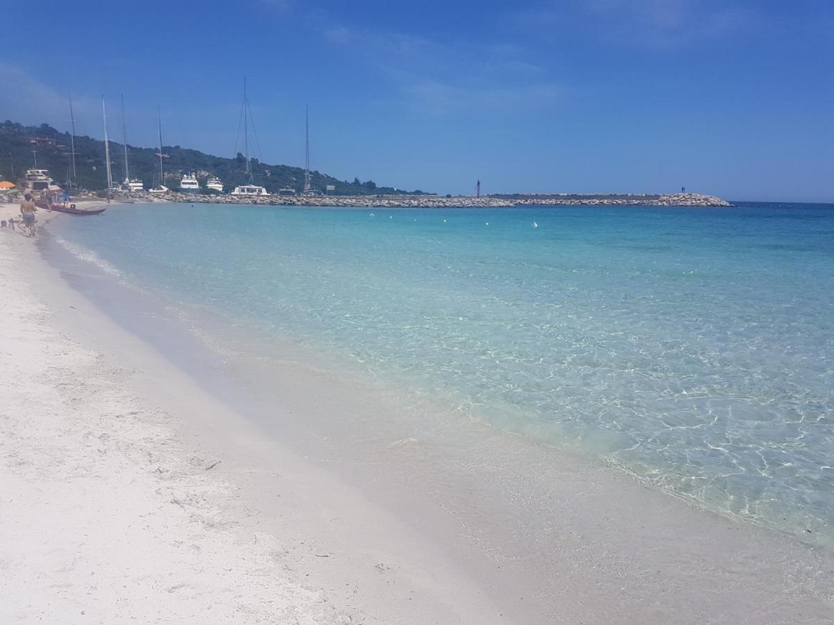 Apartament Eligio